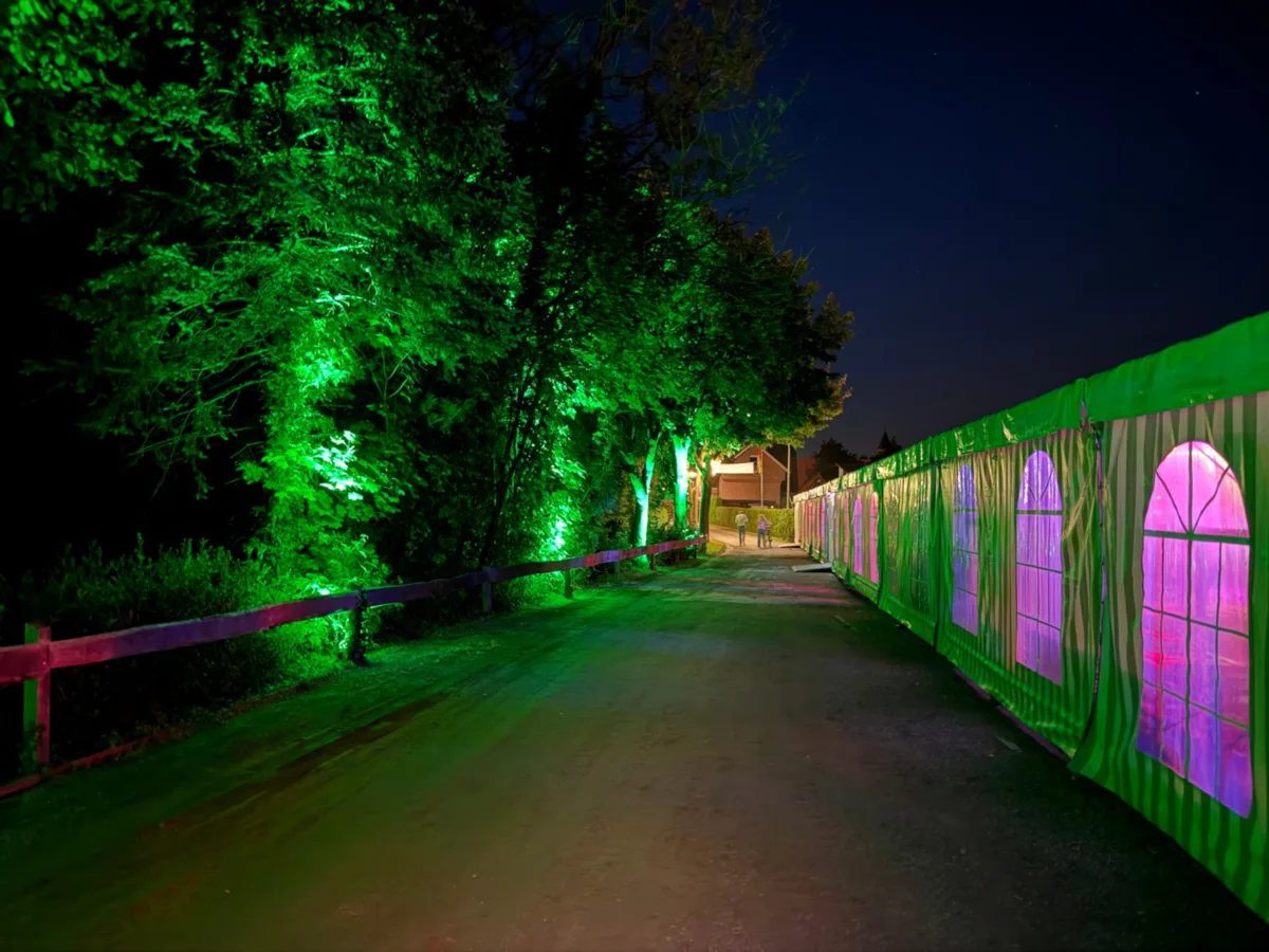 Stimmungsvolle grüne und violette Outdoor-Beleuchtung an einer Eventlocation